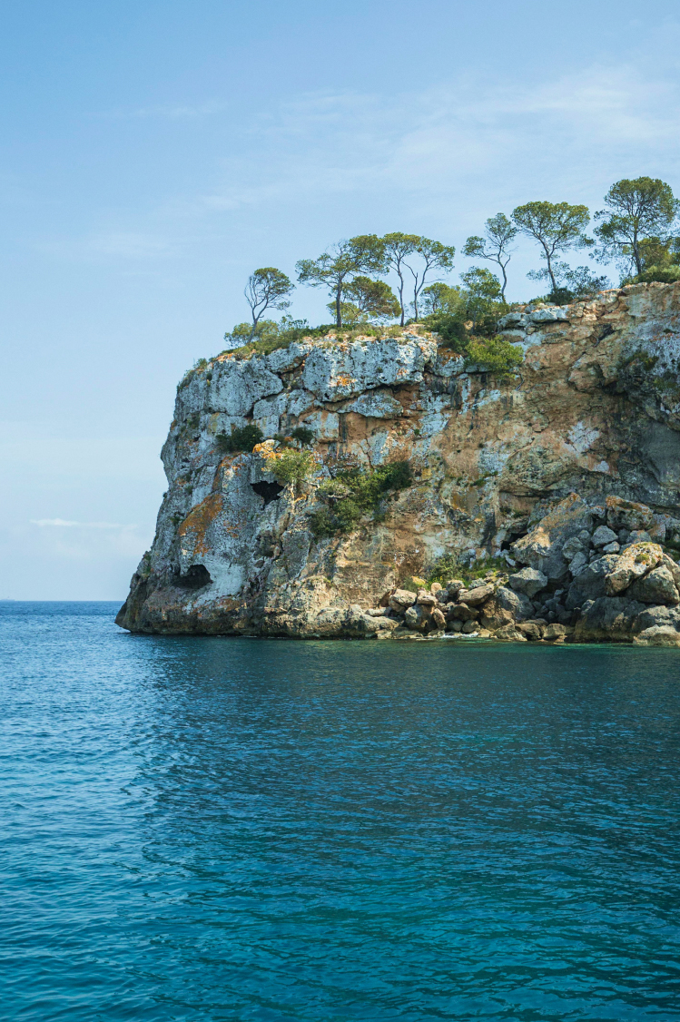 A pine-topped limestone headland dropping into clear turquoise sea at a quiet Mallorcan cove near Pollença