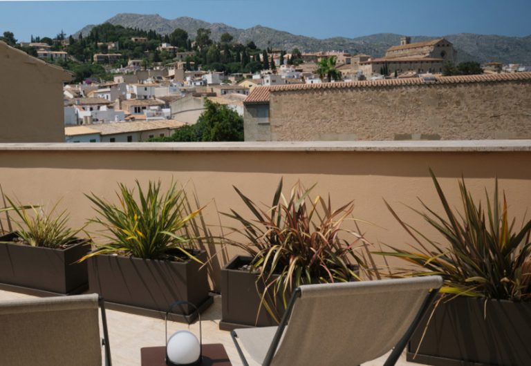 Terrace with plants at Can Aulí, the town and the Tramuntana visible beyond