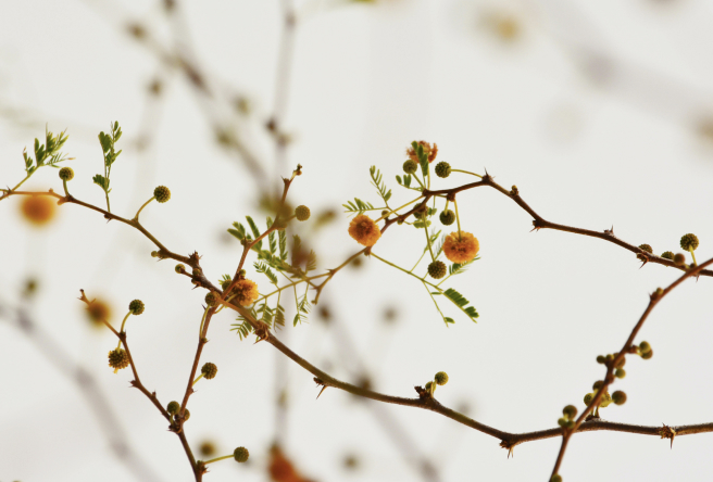 The wellness room at Can Aulí, warm stone and soft light arranged for treatments and quiet
